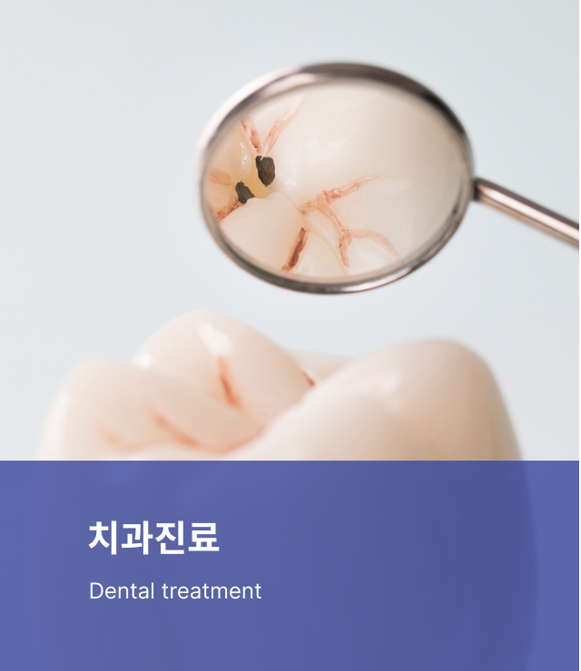 진료과목 (3).png